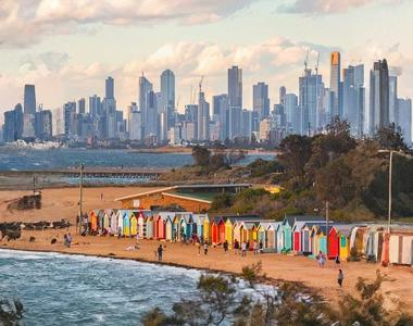 Phillip Island Wildlife & Brighton Beach Boxes Tour