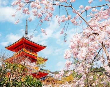 Tokyo Extension – Kamakura & Culture Add-On