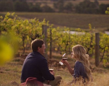 Hunter Valley Wine Tour