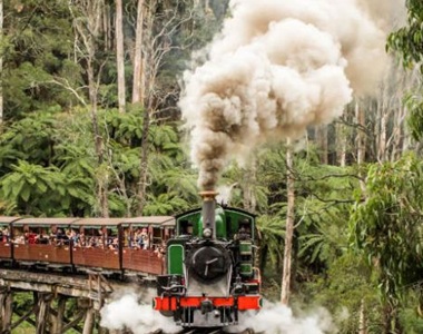 Puffing Billy & Healesville Adventure Tour