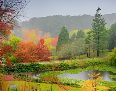 5 Day Adelaide Explore